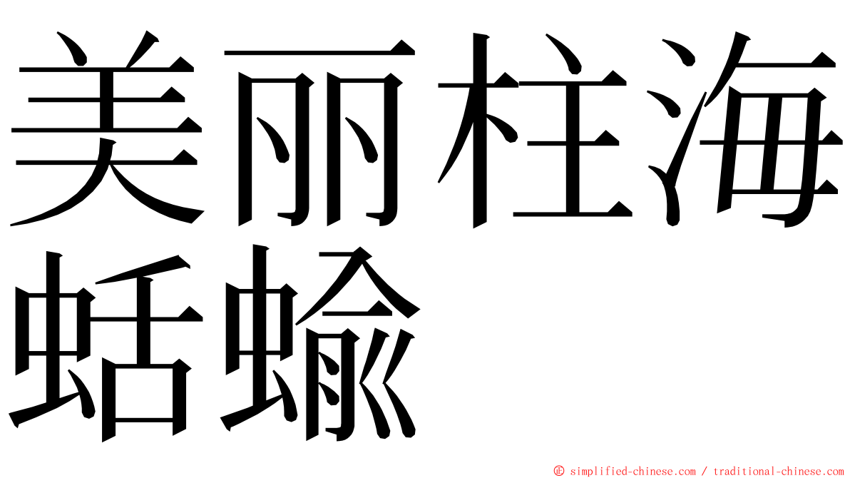 美丽柱海蛞蝓 ming font