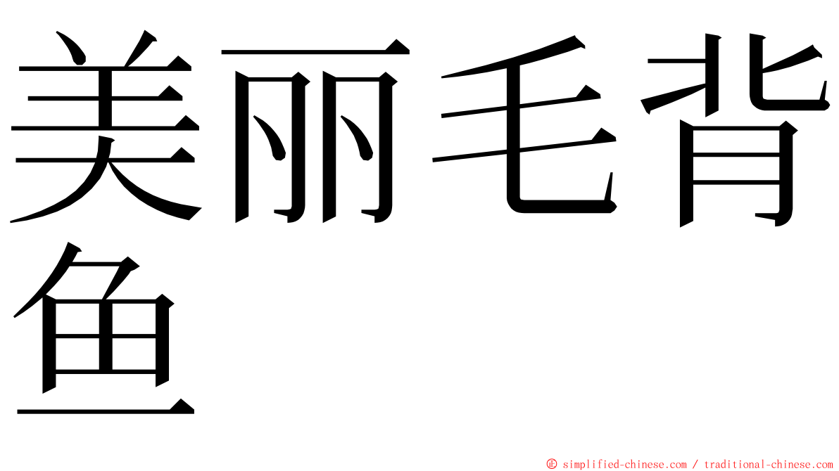美丽毛背鱼 ming font