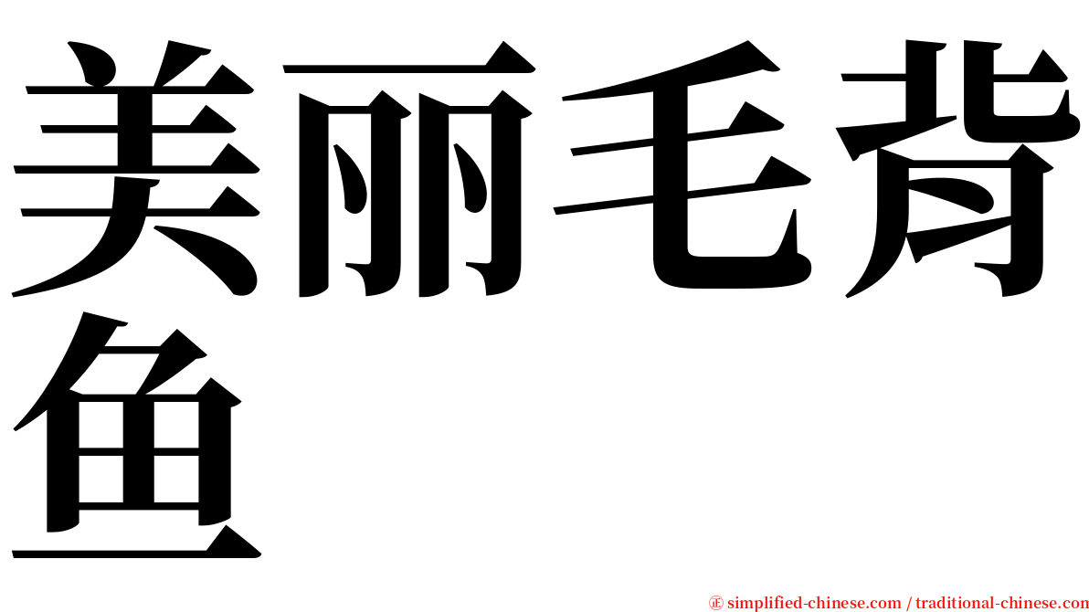 美丽毛背鱼 serif font