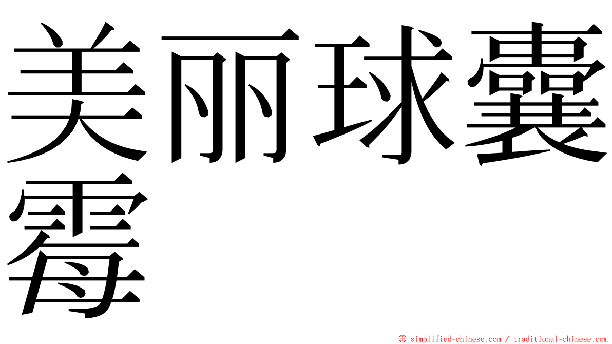 美丽球囊霉 ming font