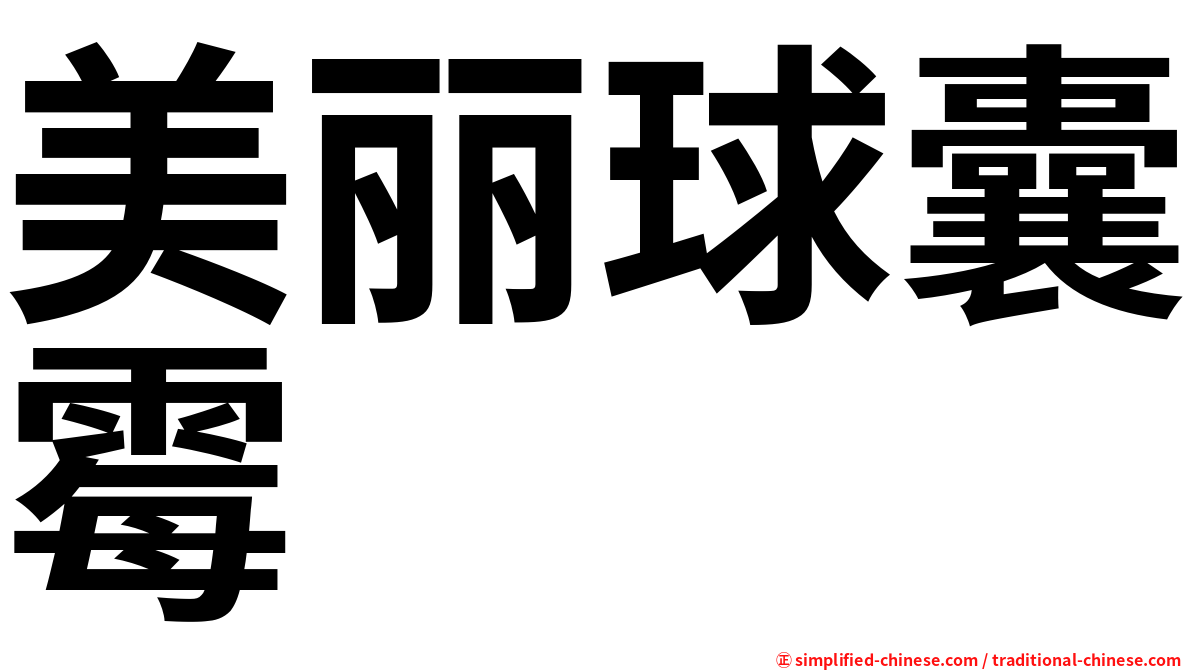 美丽球囊霉