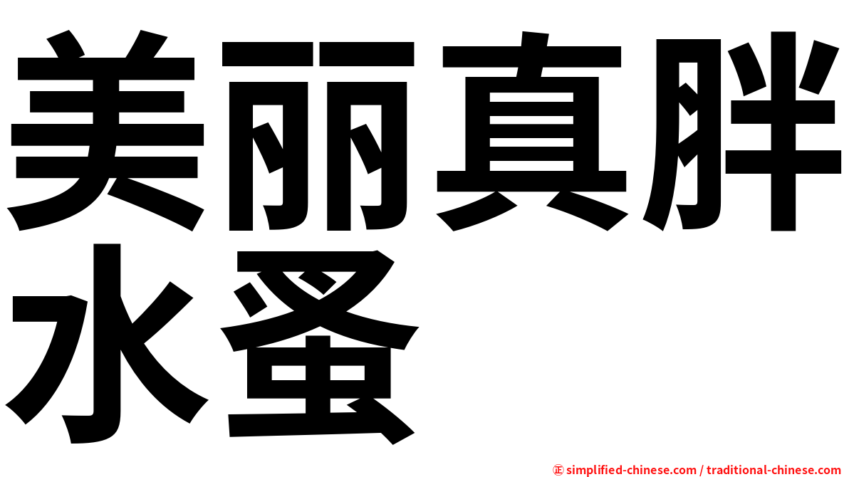 美丽真胖水蚤