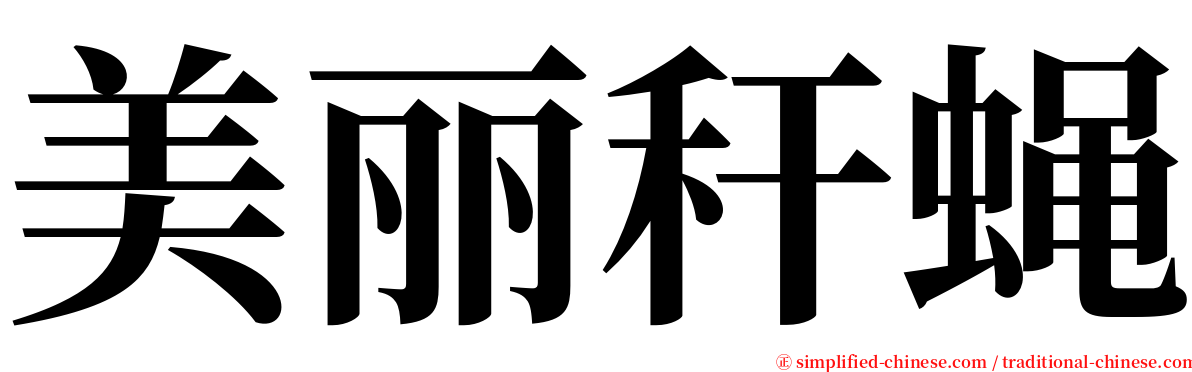 美丽秆蝇 serif font