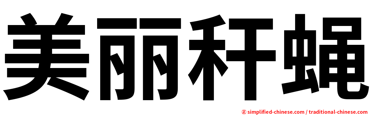 美丽秆蝇