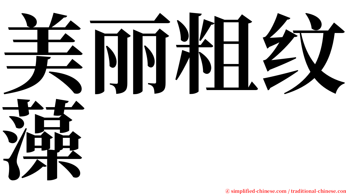 美丽粗纹藻 serif font