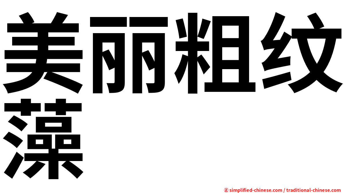 美丽粗纹藻