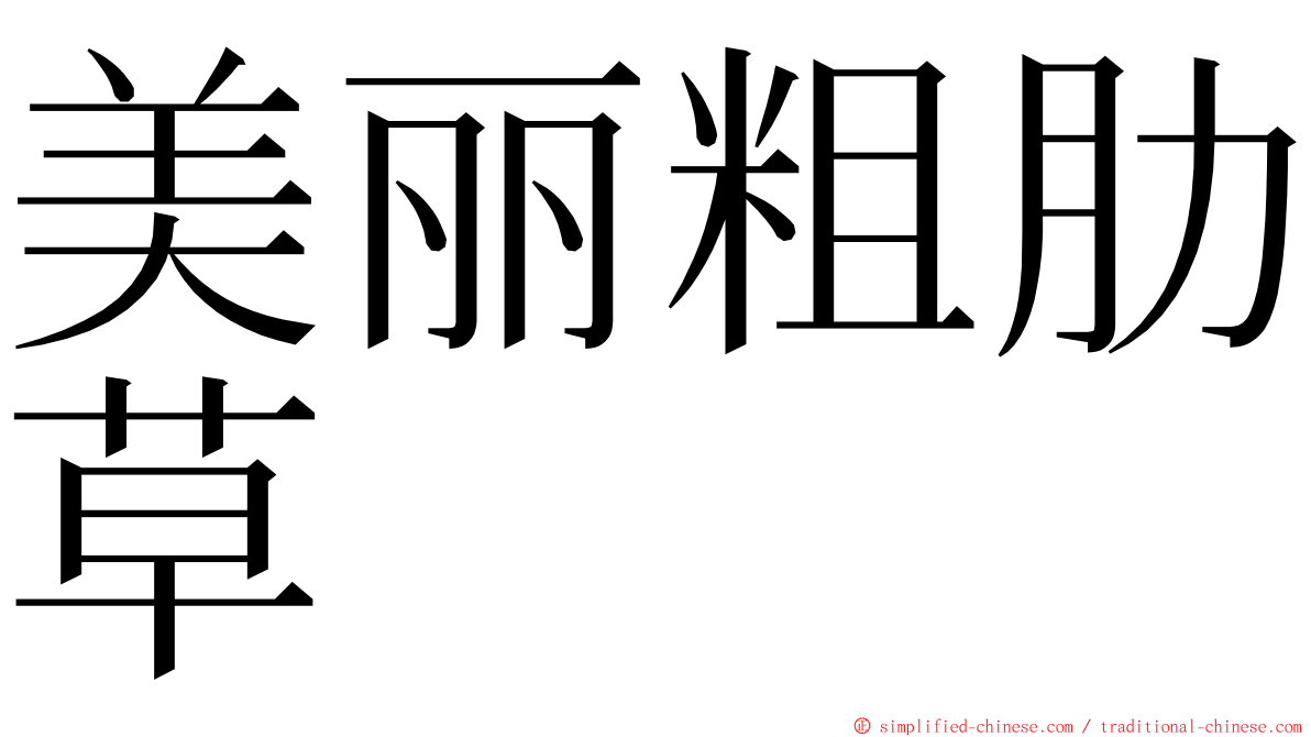 美丽粗肋草 ming font