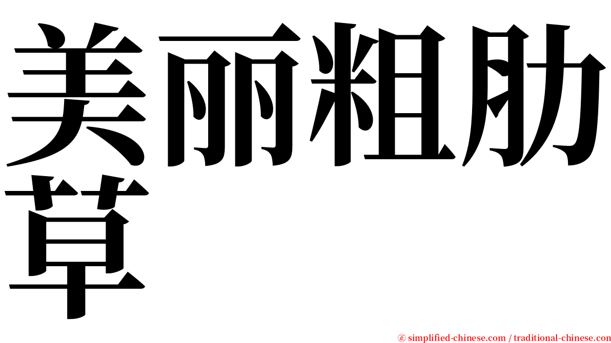 美丽粗肋草 serif font