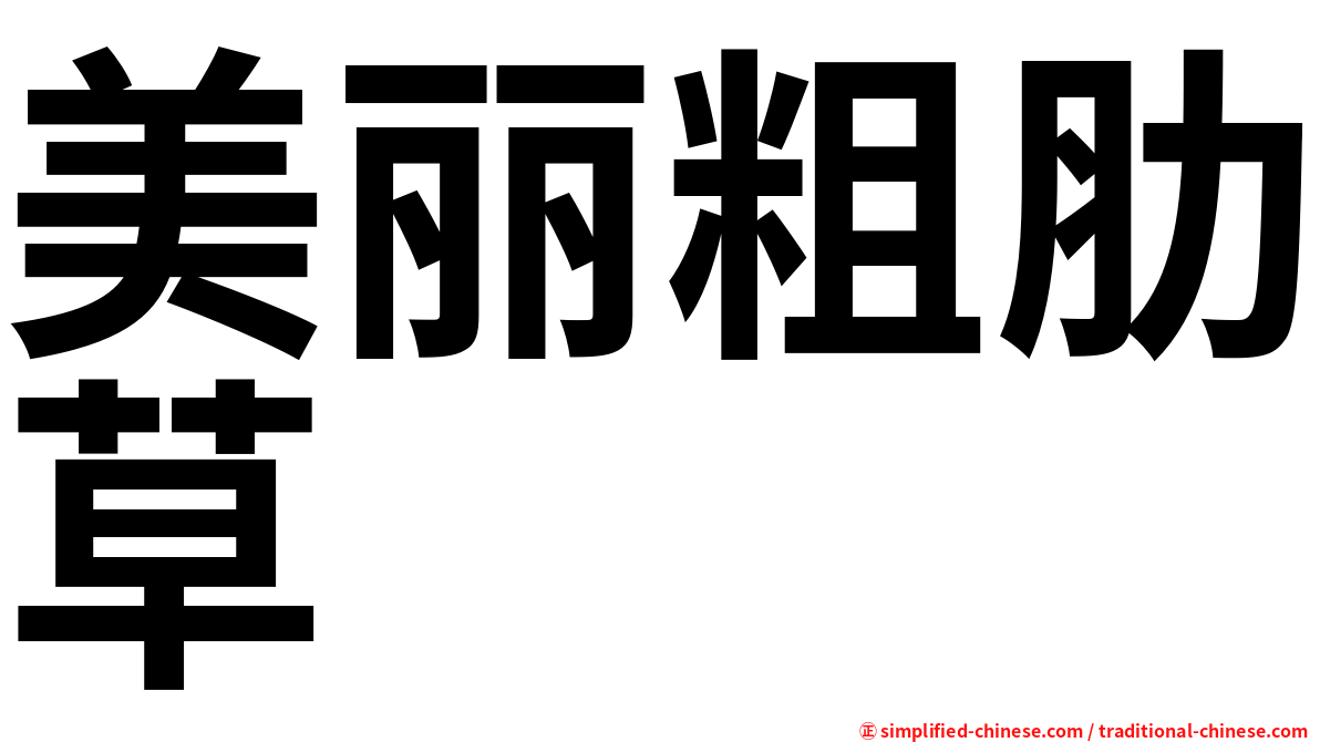 美丽粗肋草