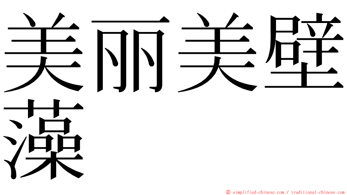 美丽美壁藻 ming font