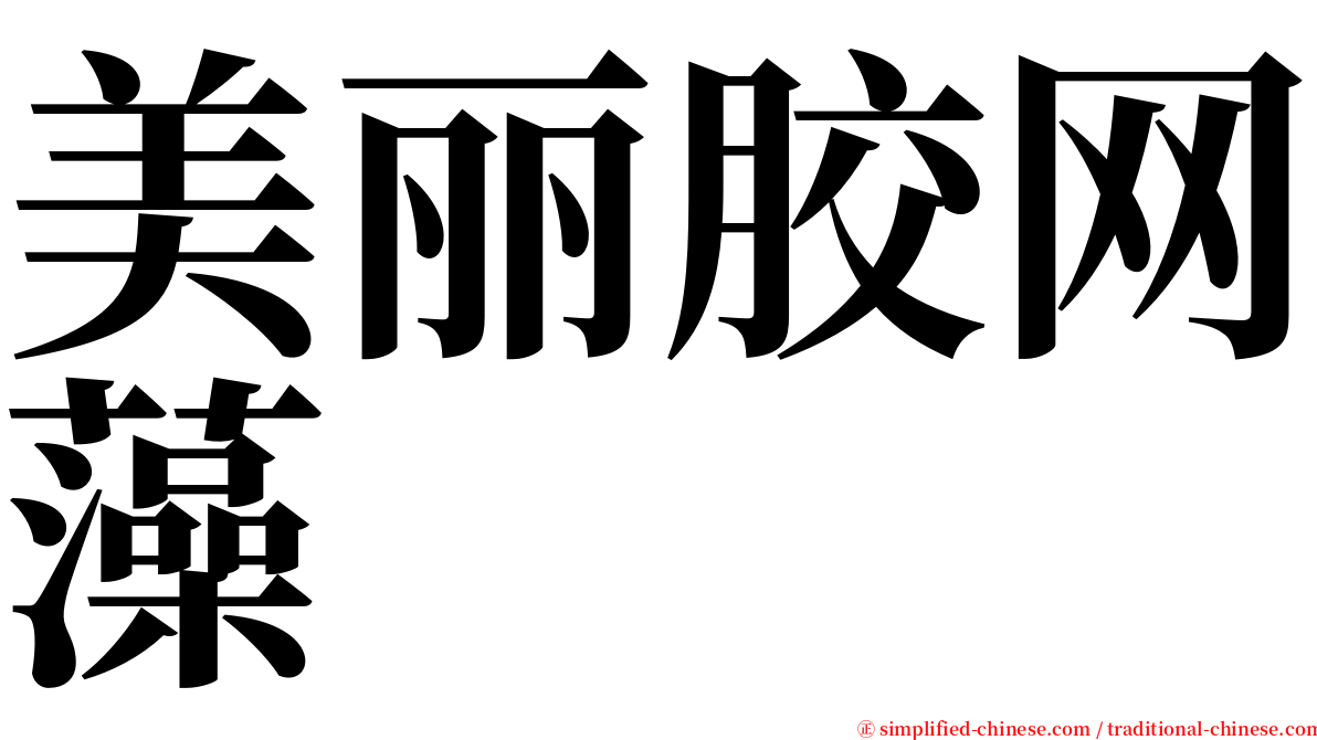 美丽胶网藻 serif font
