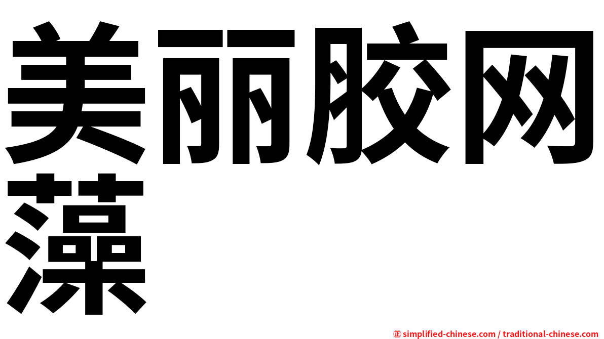 美丽胶网藻