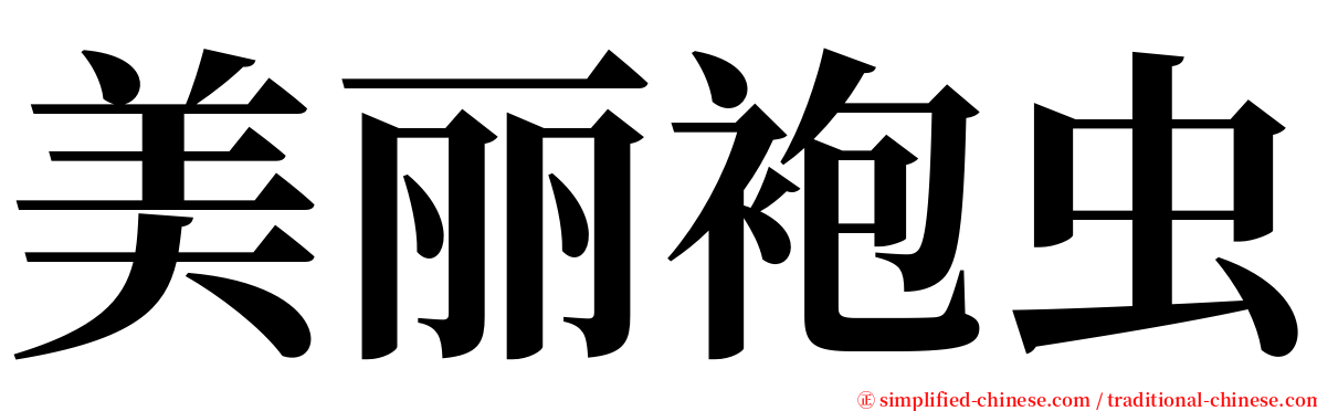 美丽袍虫 serif font