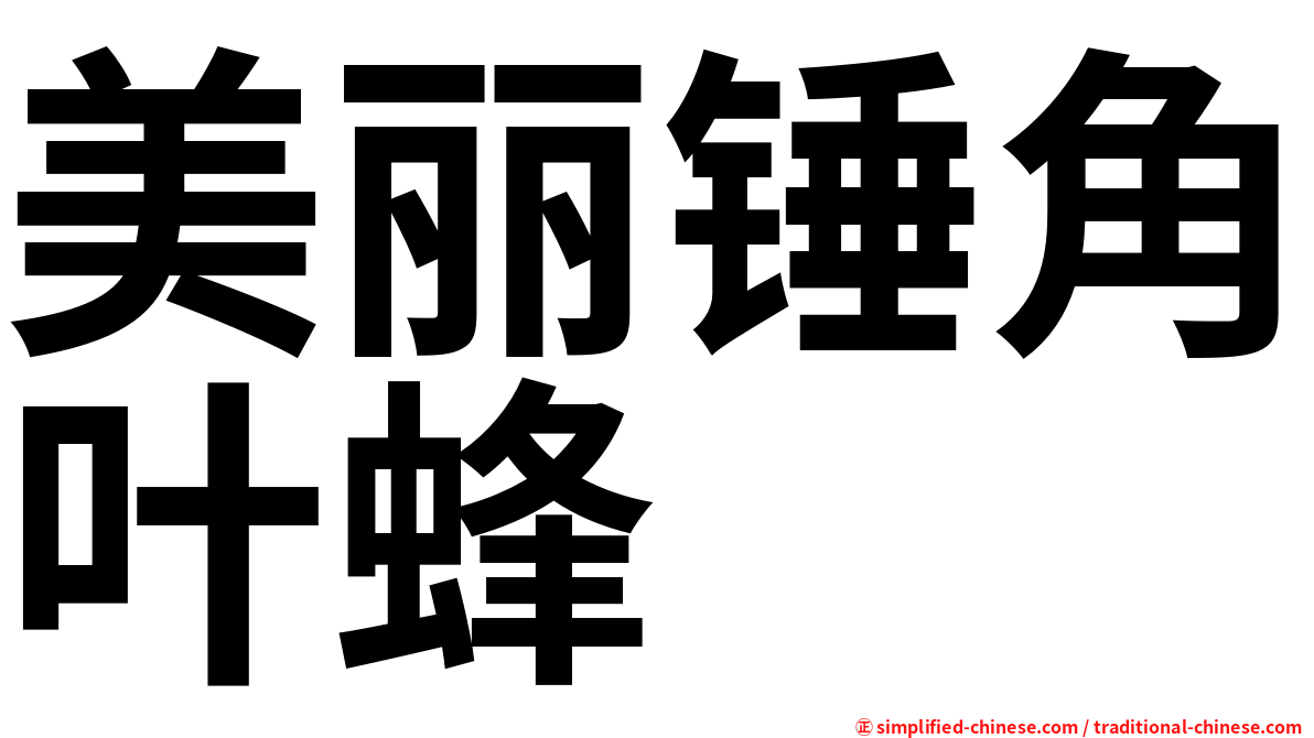美丽锤角叶蜂