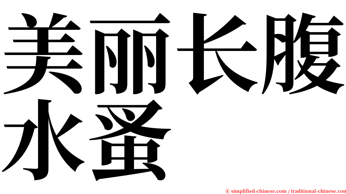 美丽长腹水蚤 serif font