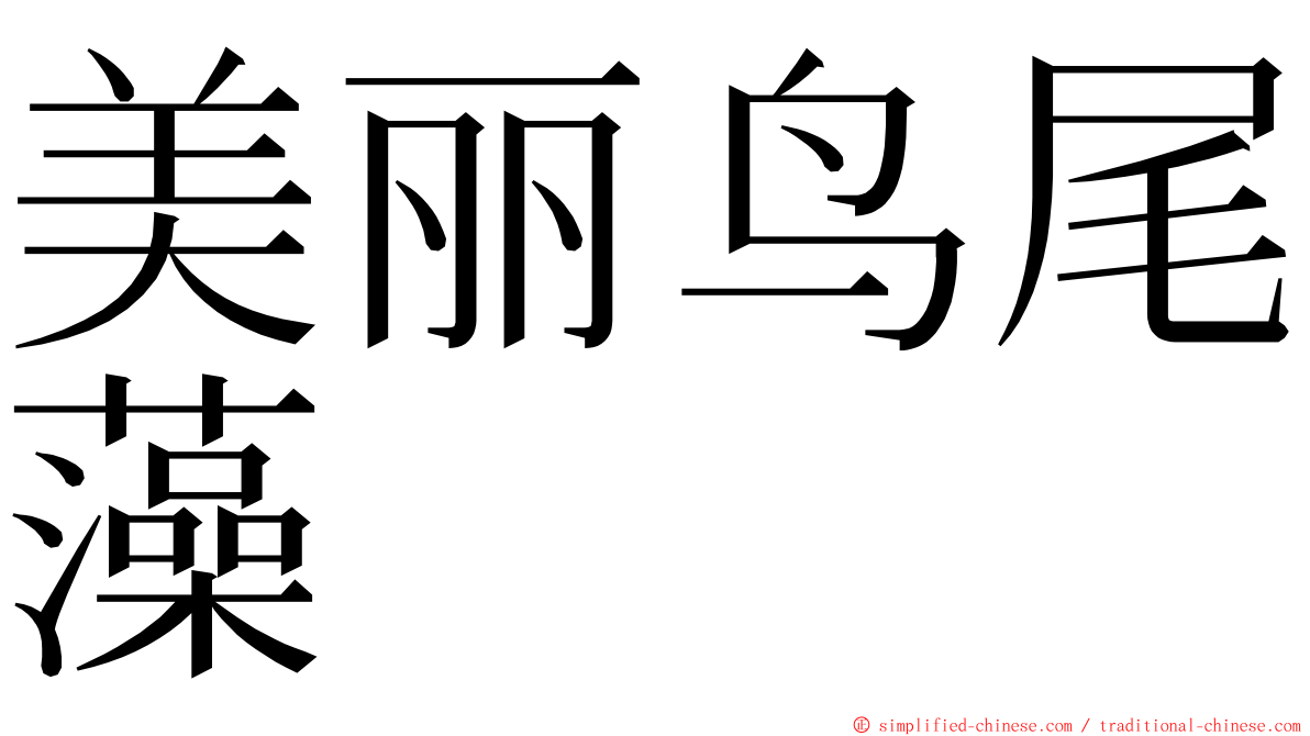 美丽鸟尾藻 ming font