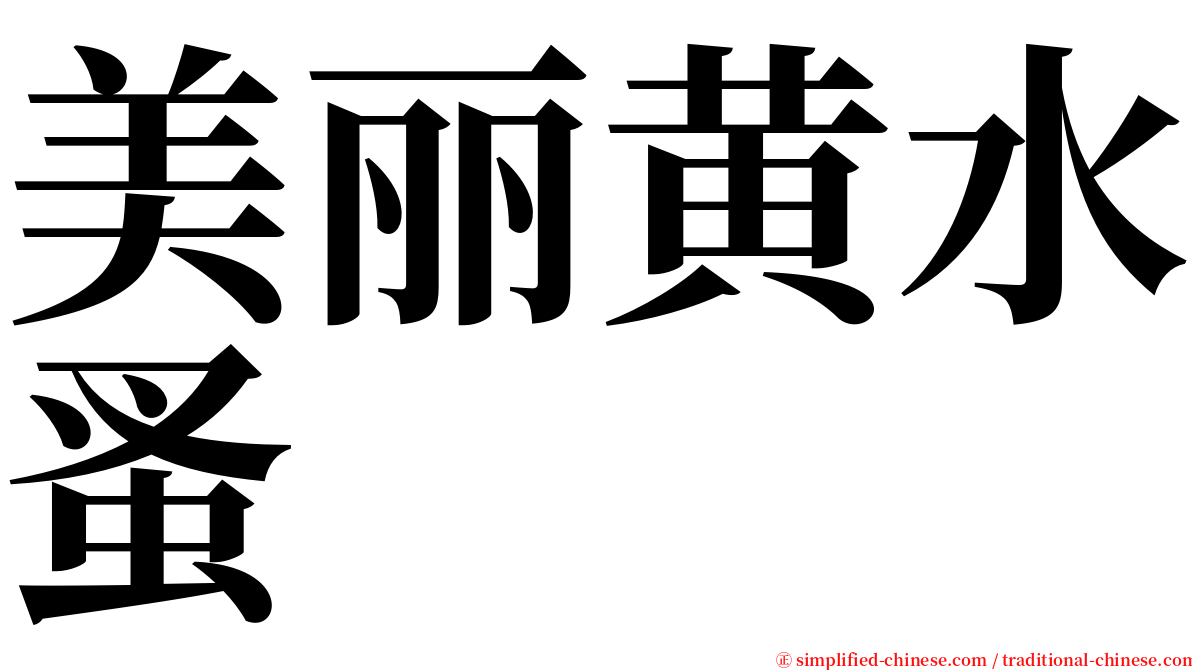 美丽黄水蚤 serif font