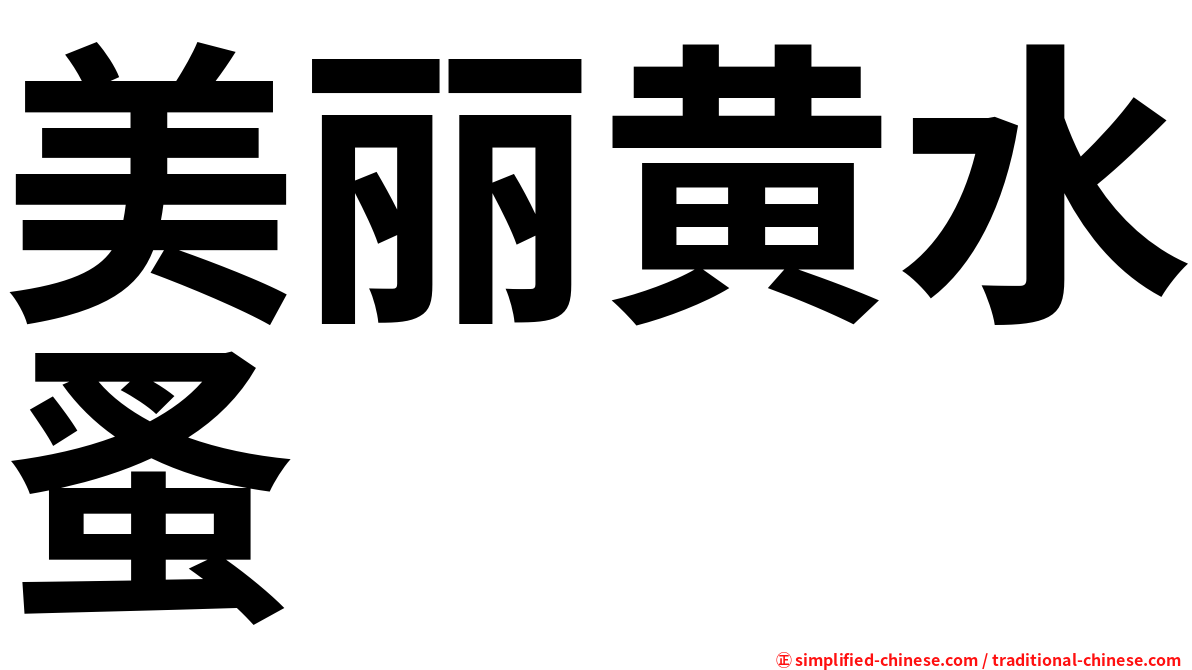 美丽黄水蚤