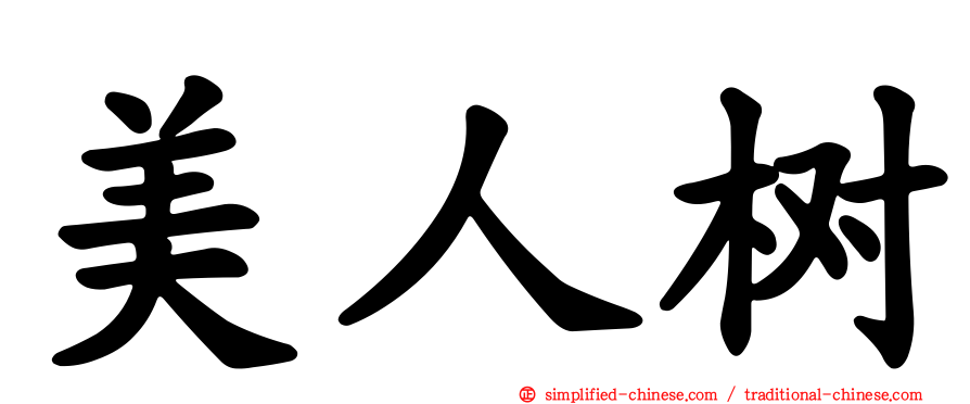 美人树