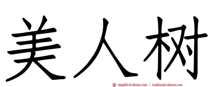 美人树