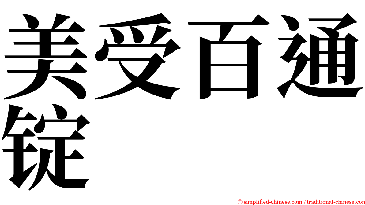 美受百通锭 serif font