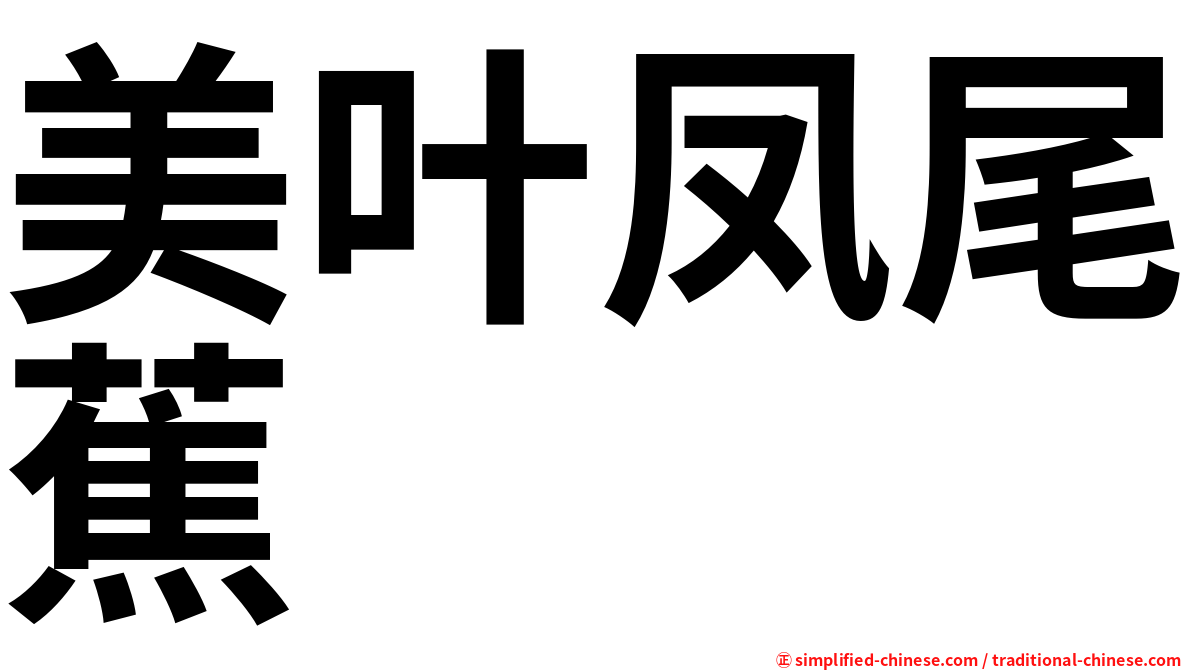 美叶凤尾蕉