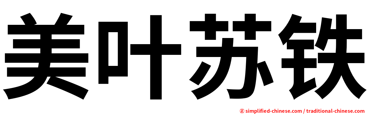 美叶苏铁