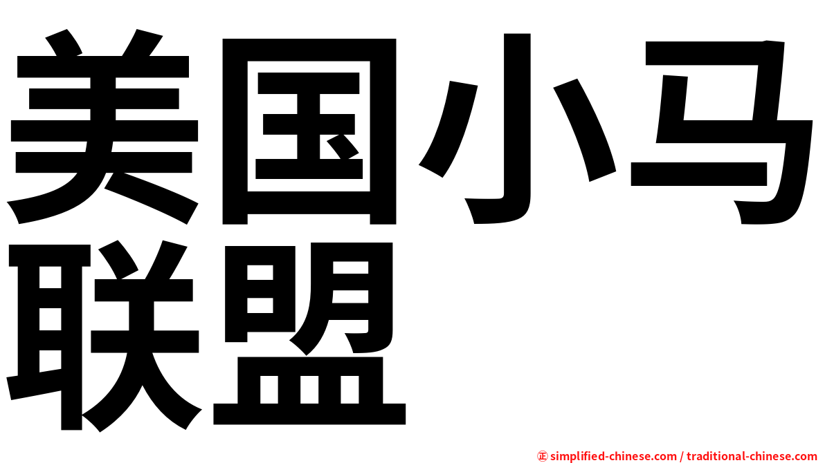 美国小马联盟