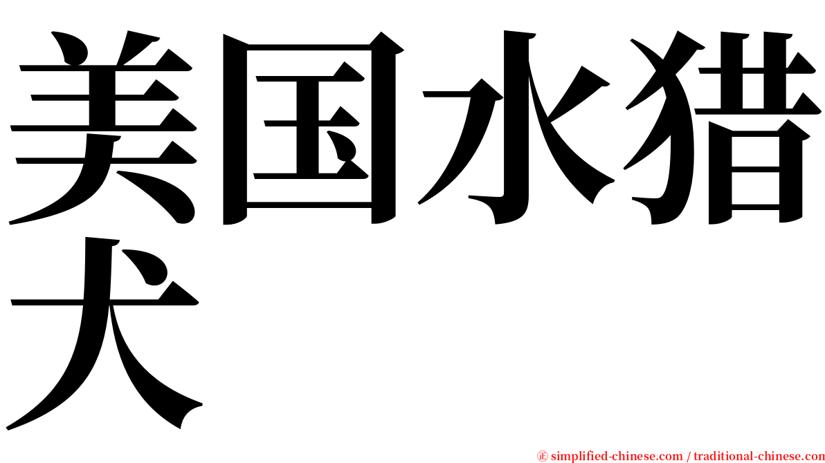 美国水猎犬 serif font