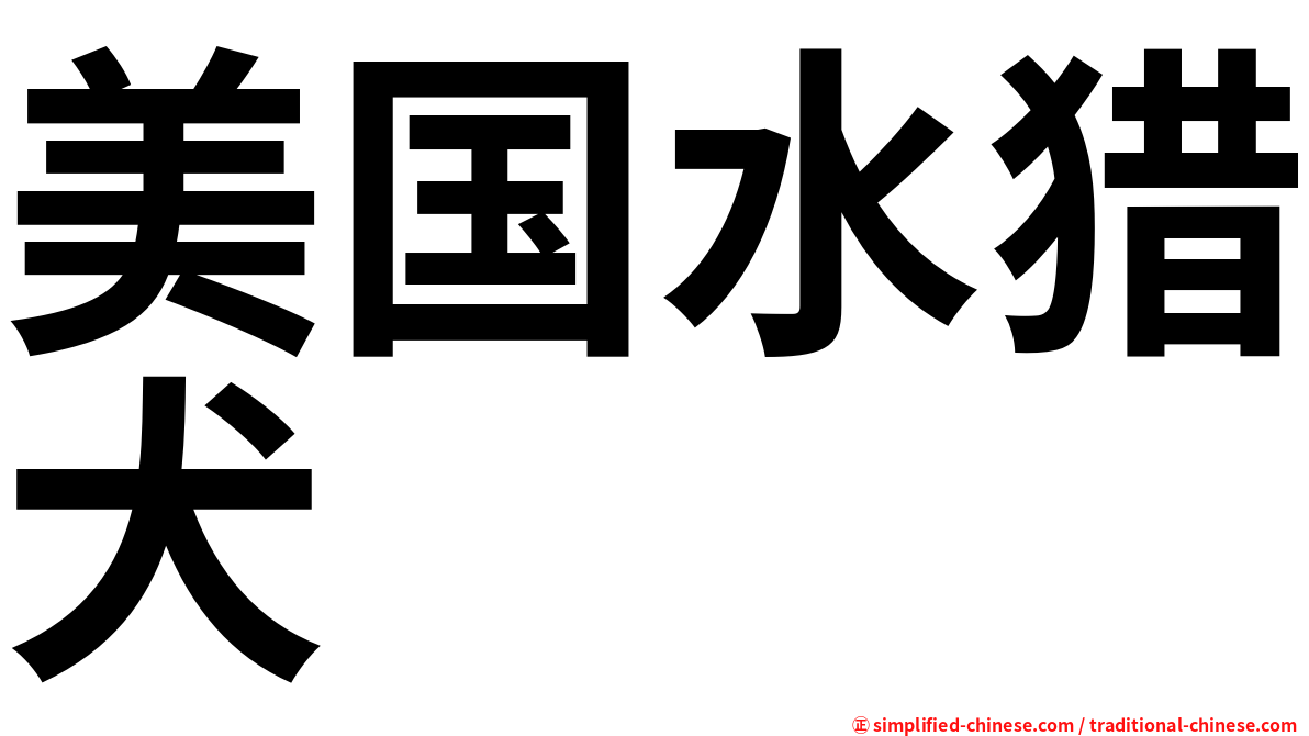 美国水猎犬