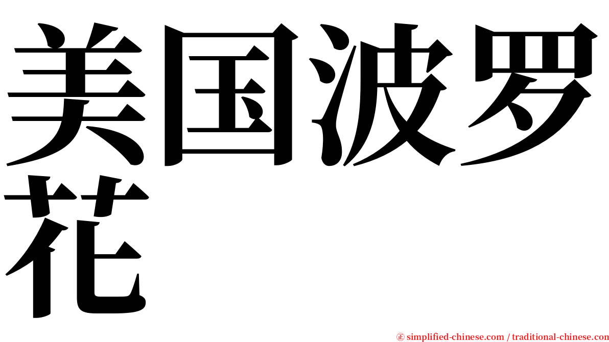 美国波罗花 serif font