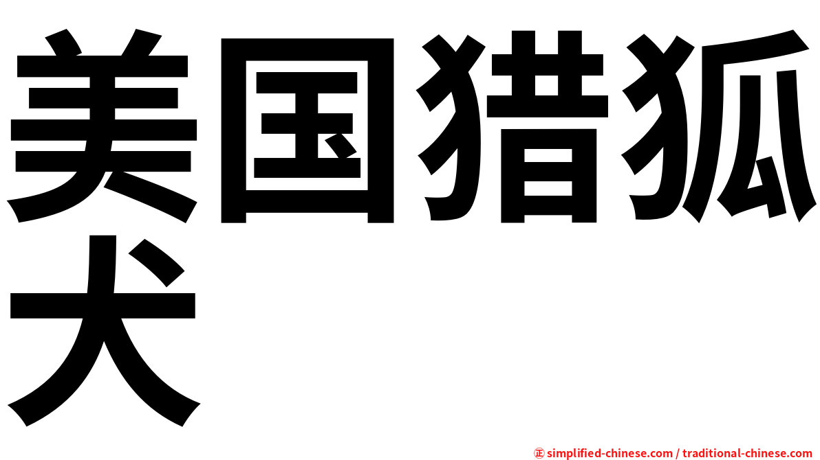 美国猎狐犬
