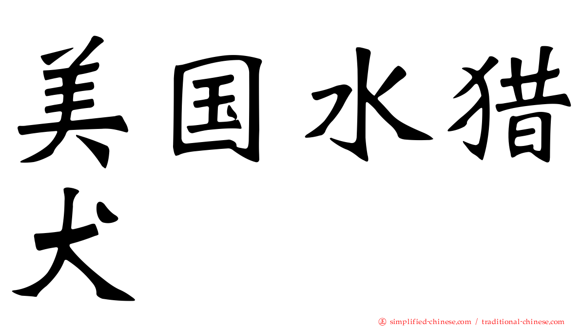 美国水猎犬