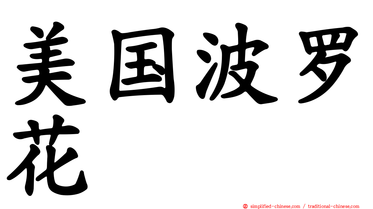 美国波罗花