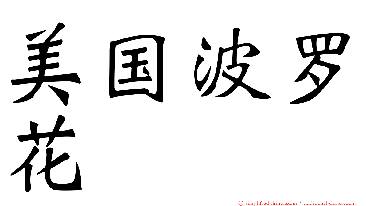 美国波罗花