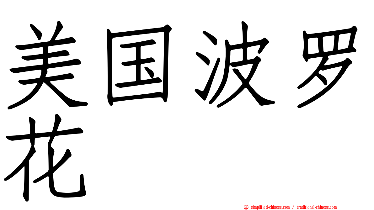 美国波罗花