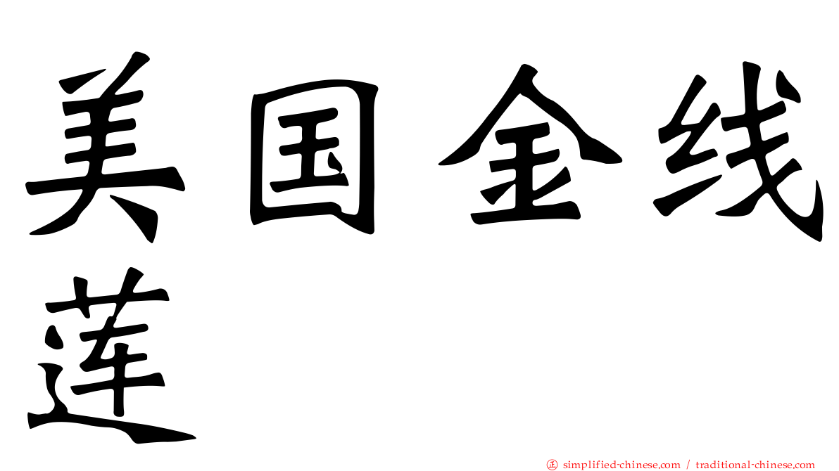 美国金线莲