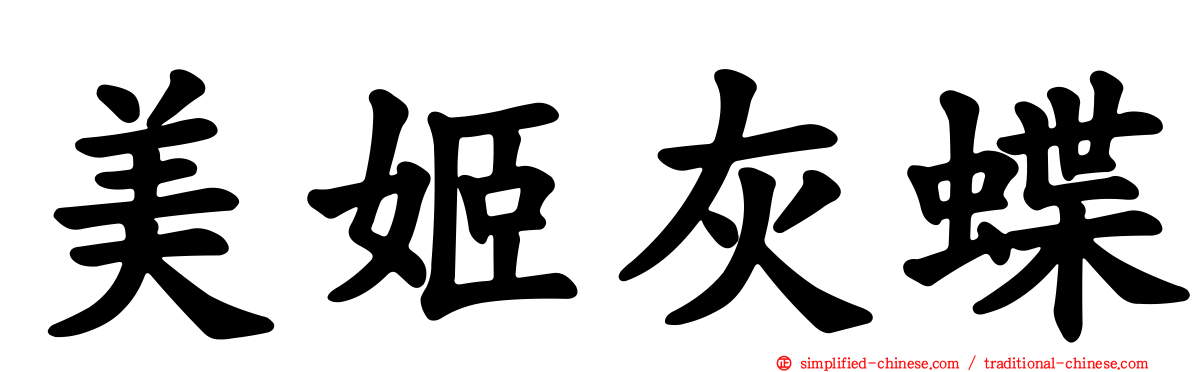 美姬灰蝶
