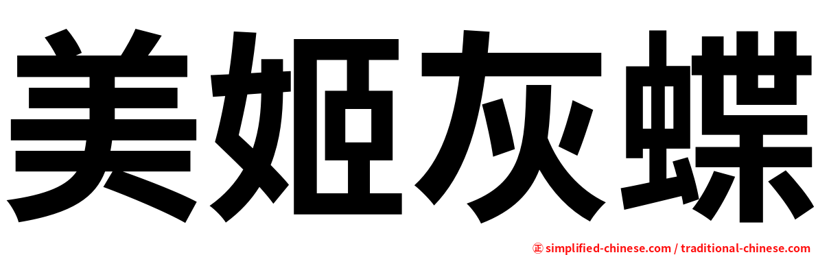 美姬灰蝶