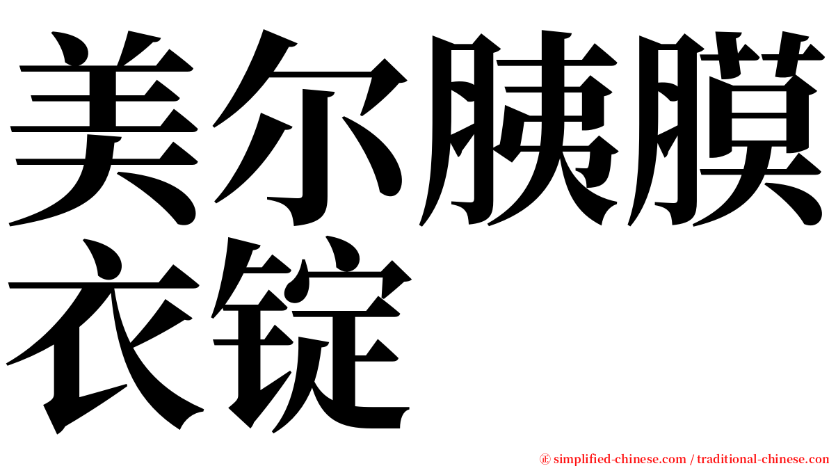 美尔胰膜衣锭 serif font