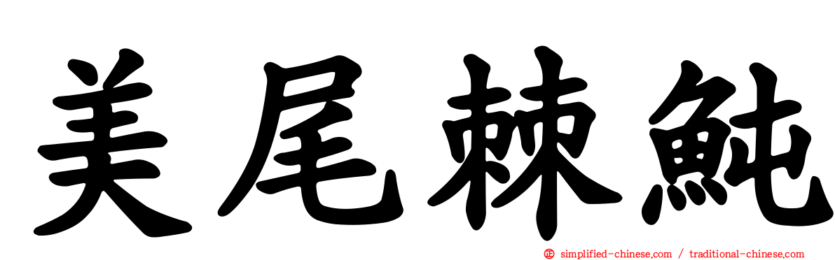 美尾棘鲀