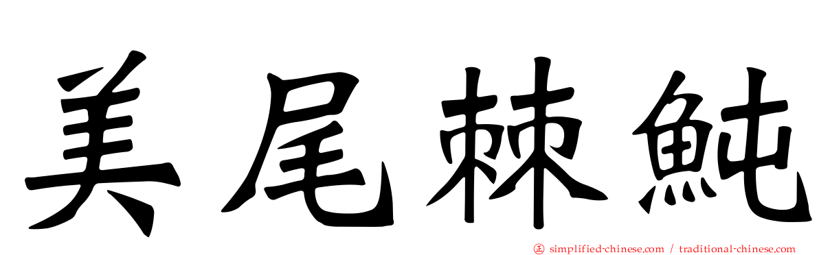 美尾棘鲀