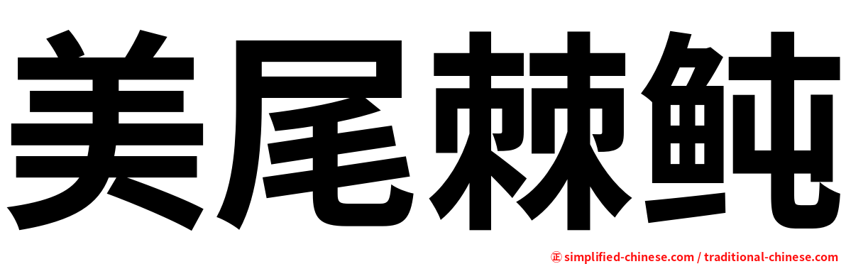 美尾棘鲀