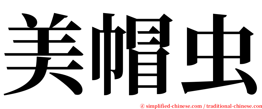 美帽虫 serif font