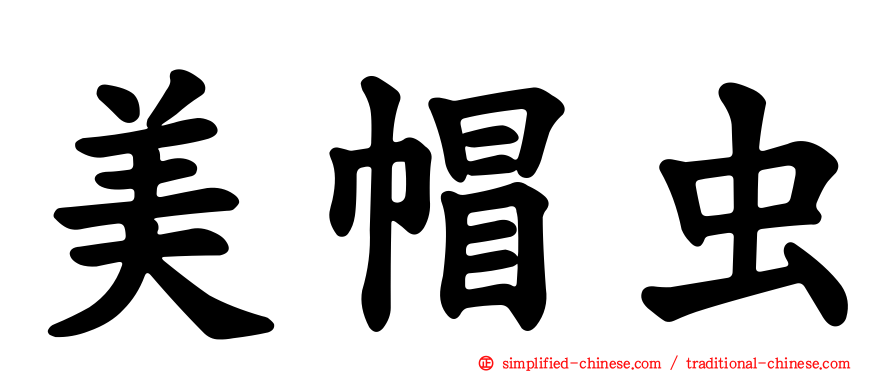 美帽虫