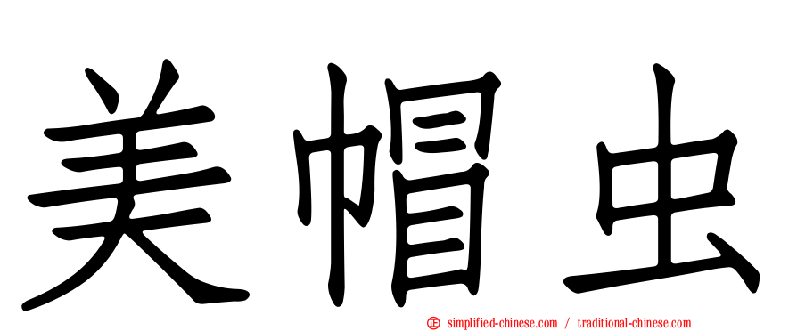 美帽虫