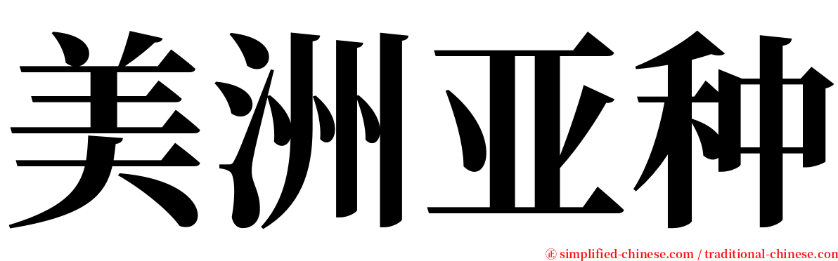美洲亚种 serif font