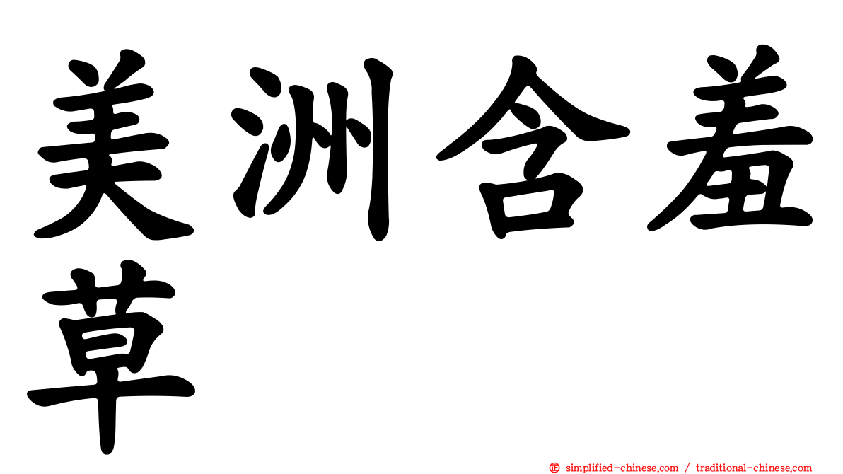 美洲含羞草