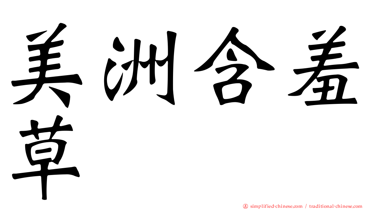 美洲含羞草