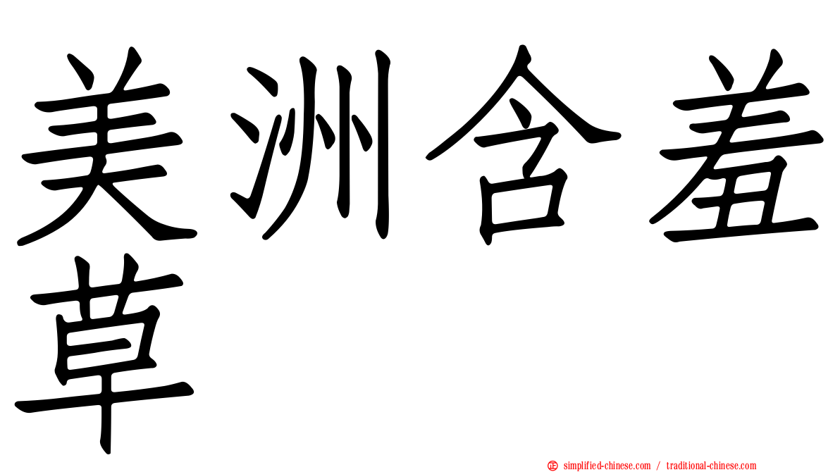 美洲含羞草